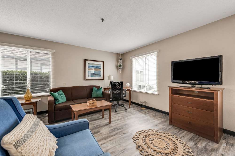 Thoughtfully designed living room with wood flooring and plenty of natural light at Vivo Living Charlotte in Charlotte, North Carolina, 