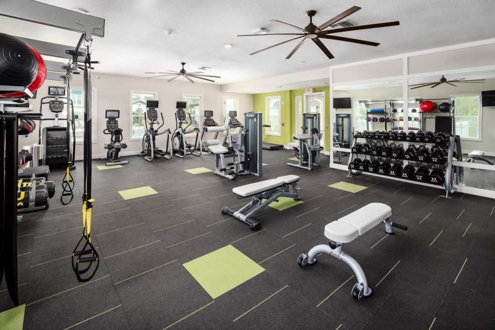 Fitness center at Shadetree Apartments in Ruskin, Florida