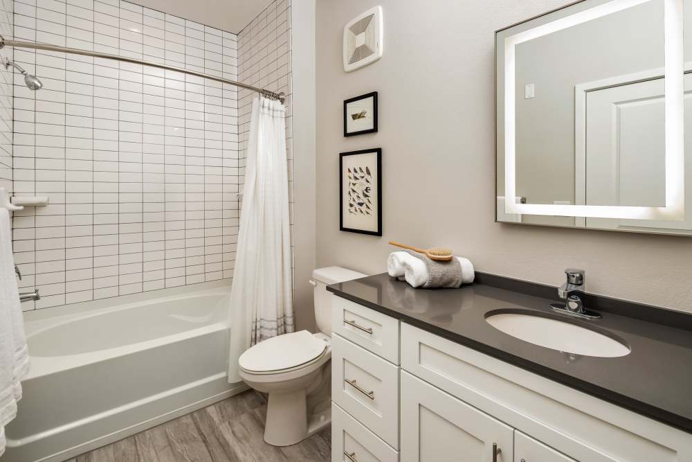 Bathroom waterfall faucet sink at Shadetree Apartments in Ruskin, Florida