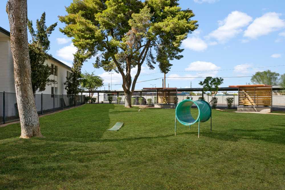 Dog playground area with grassy felid at Sentry Tempe in Tempe, Arizona