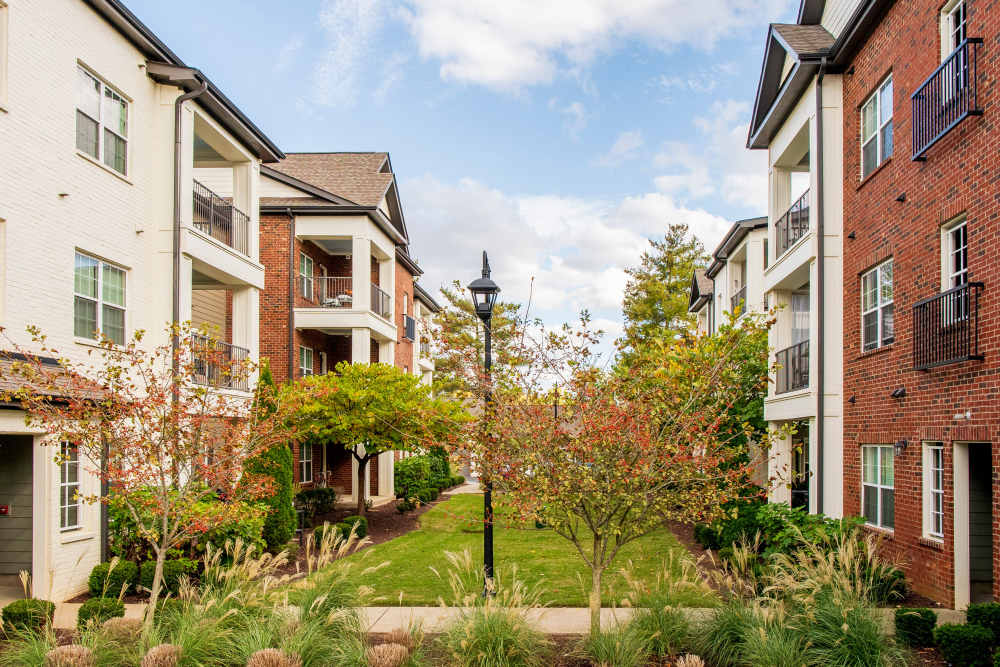 Apartment buildings with landscaped courtyard walkway at Springfield Apartments in Murfreesboro, Tennessee
