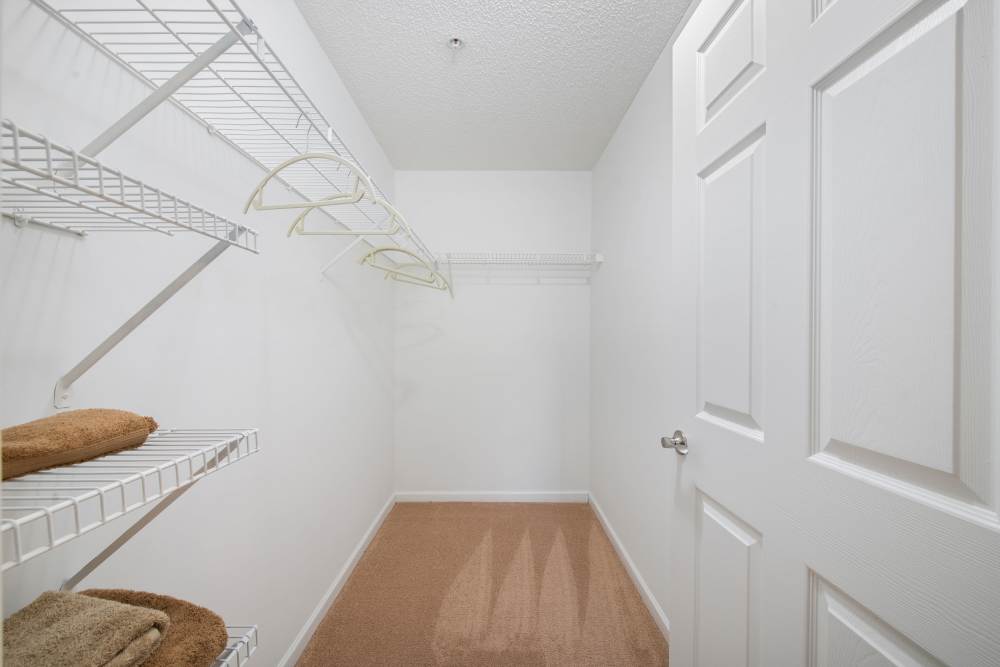 Apartment closet 1 at Hollis 7601 in Charlotte, North Carolina