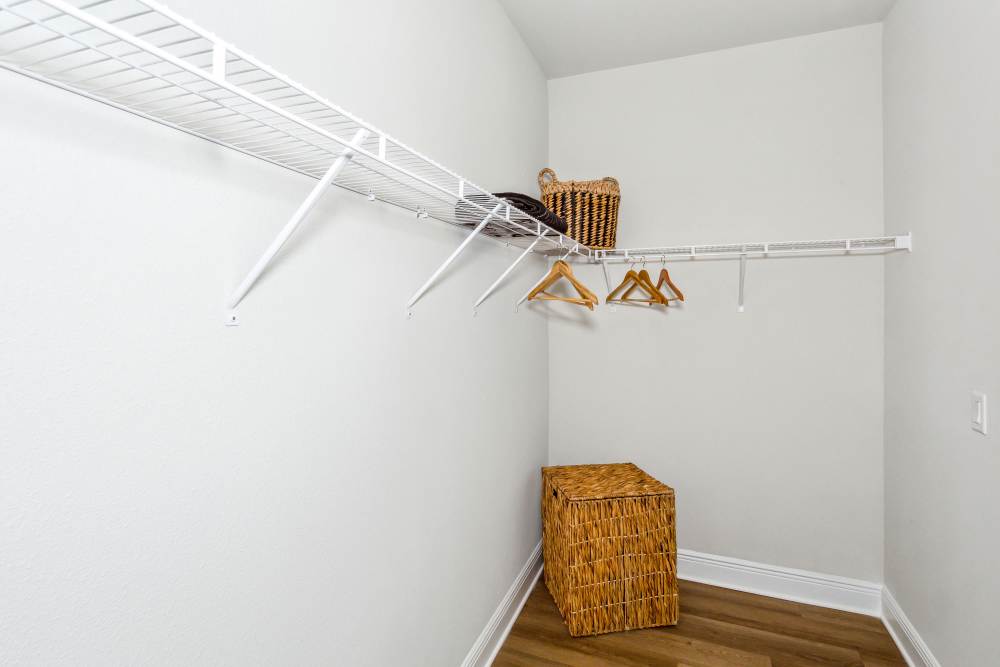 Pet-Friendly Apartments in Pensacola, FL - City North - Bedroom with Carpeting, Spacious Closets 