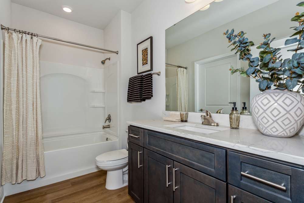 Pensacola, FL Pet-Friendly Apartments - City North -  Bathroom with large mirrors and beautiful lighting.