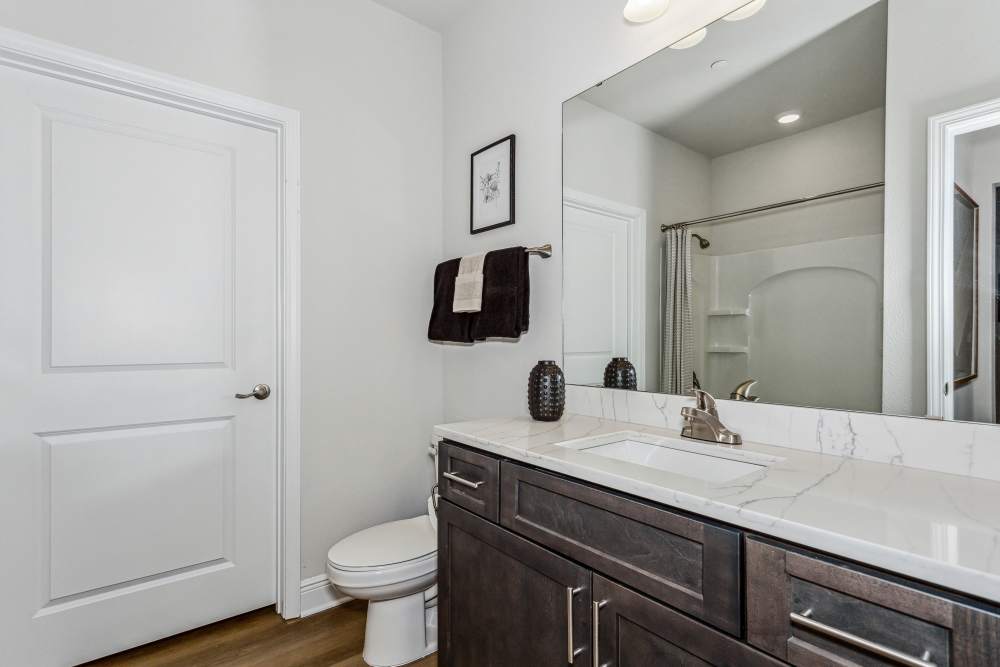 Pensacola, FL Pet-Friendly Apartments - City North -  Bathroom with large mirrors and beautiful lighting.