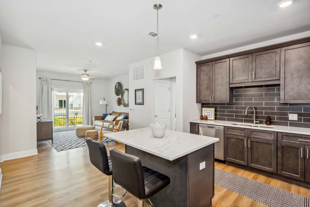 Pensacola, FL Pet-Friendly Apartments - City North - Kitchen with Stainless-Steel Appliances, Cabinets, and Granite-Style Countertops