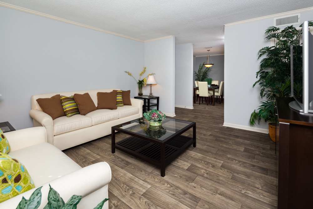 apartment living room angle 2 at Southwinds Point in Stockbridge, Georgia
