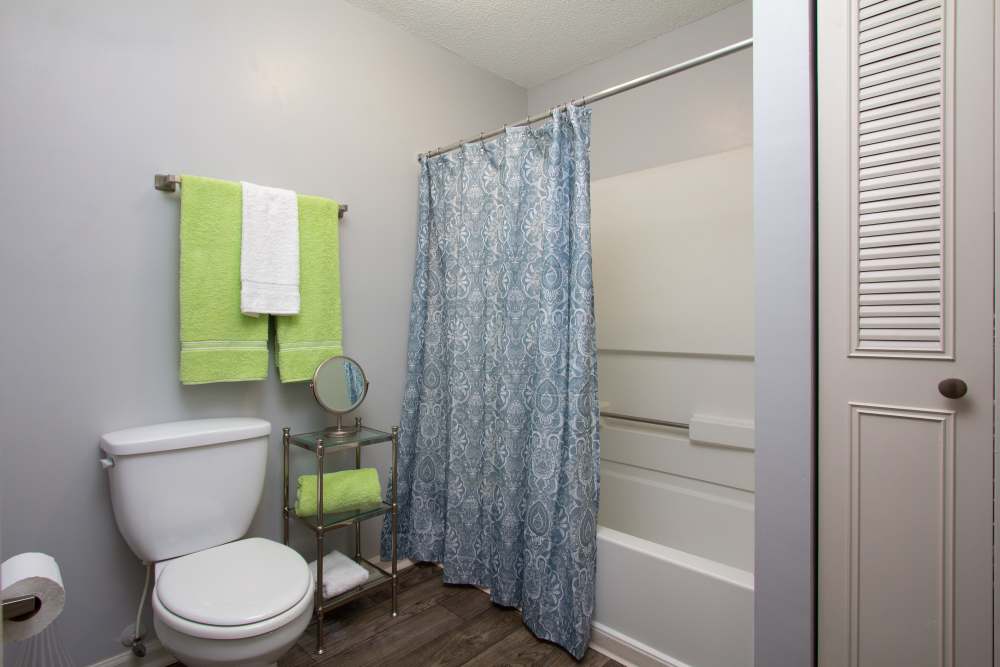 Apartment bathroom toilet and tub at Southwinds Point in Stockbridge, Georgia