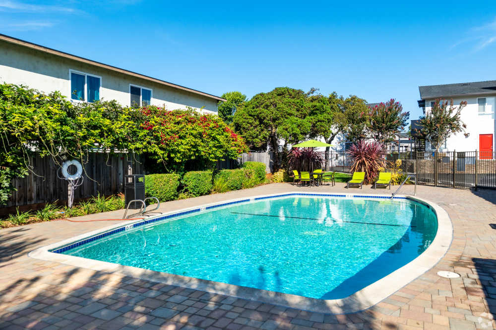  San Leandro, CA Pet-Friendly Apartments - Marina Plaza Apartments - Beautiful resort style pool area