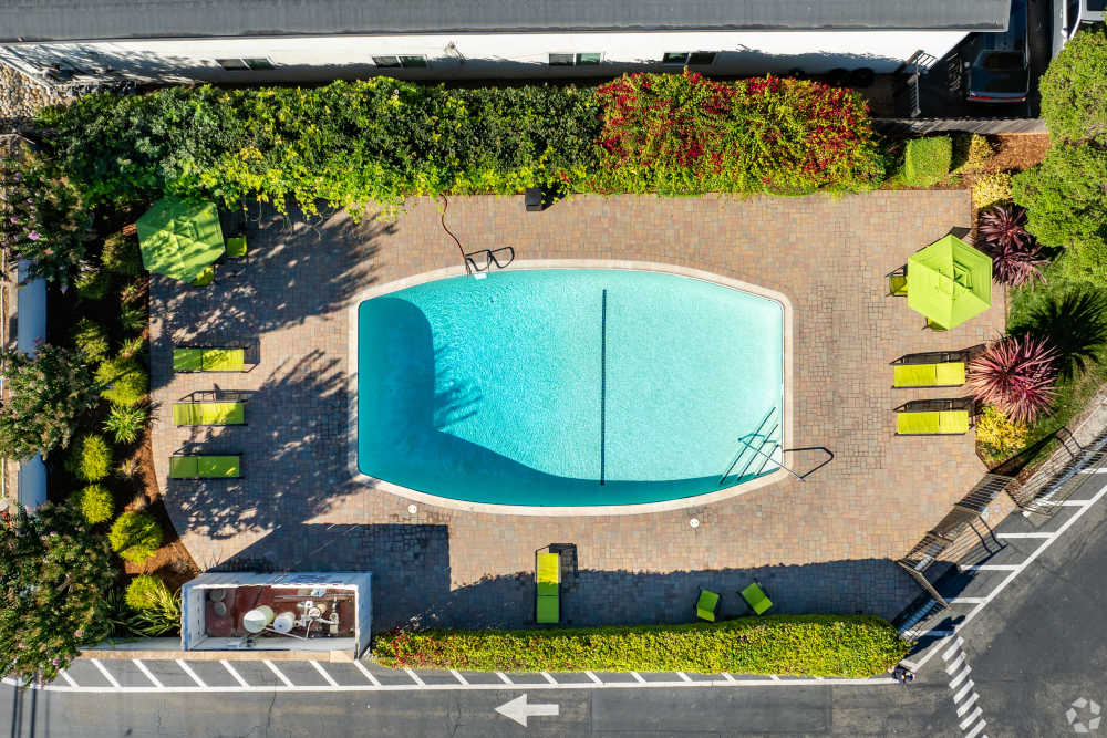  San Leandro, CA Pet-Friendly Apartments - Marina Plaza Apartments - Beautiful resort style pool aerial view