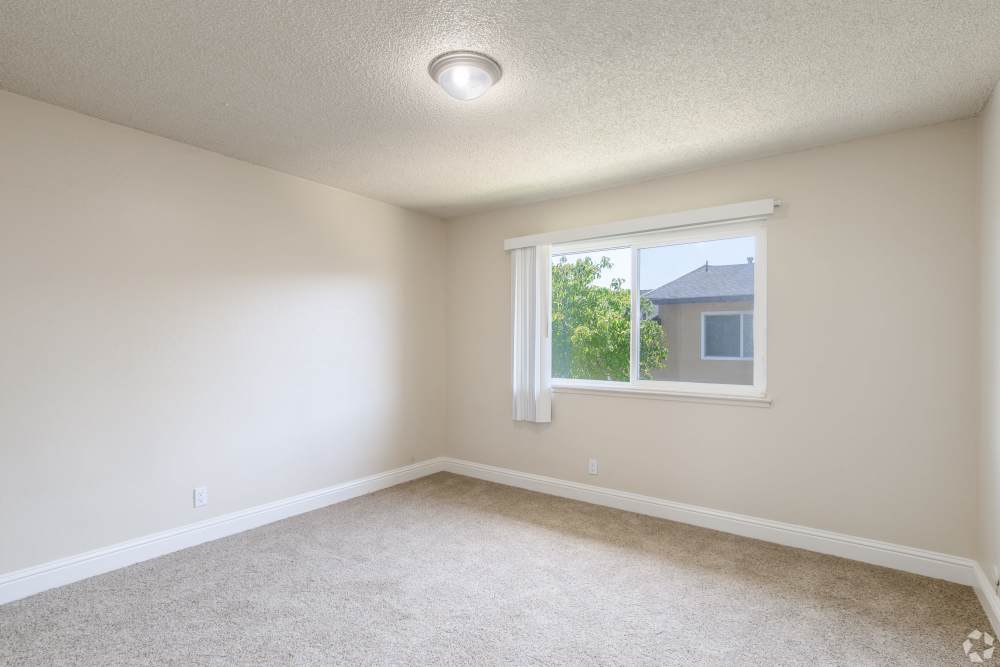 Pet-Friendly Apartments in San Leandro, CA - Marina Plaza Apartments- Living Room with Carpeted Floors, and Window