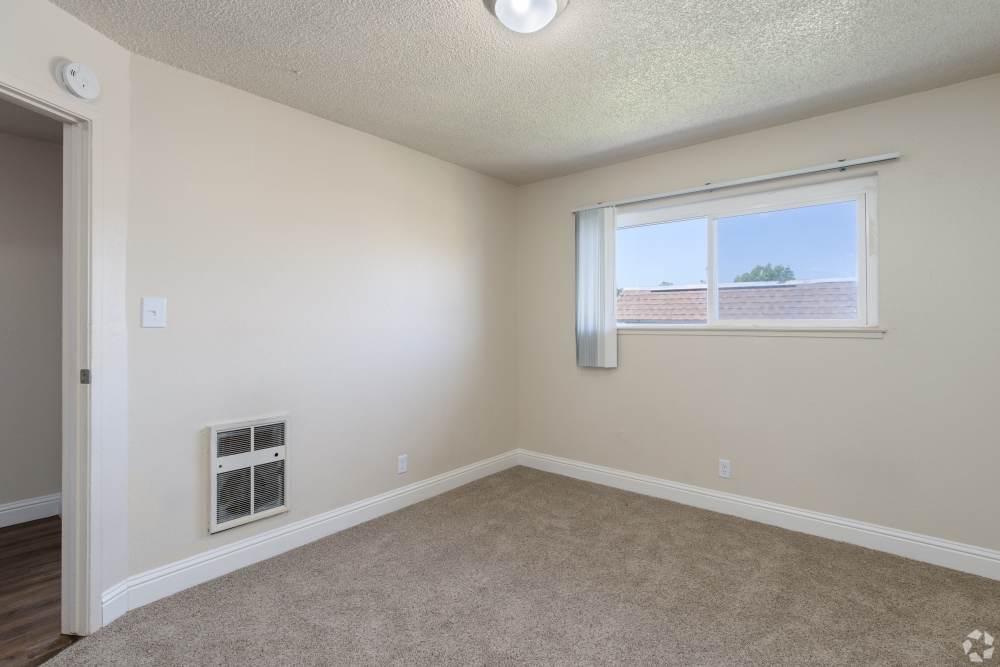 Pet-Friendly Apartments in San Leandro, CA - Marina Plaza Apartments- Living Room with Carpeted Floors, and Window