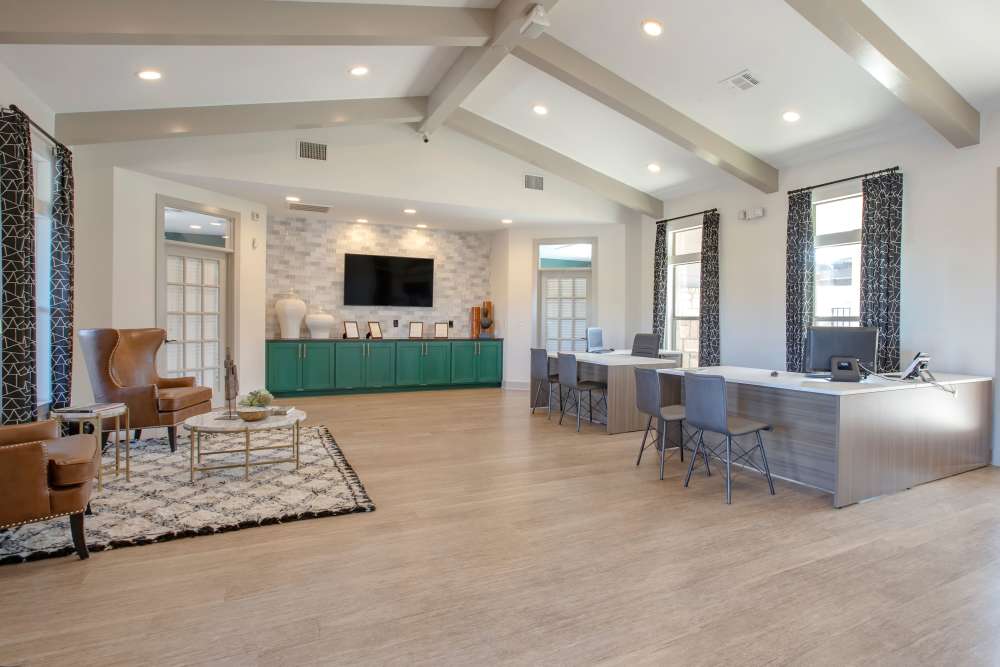 Sagebrush Community
