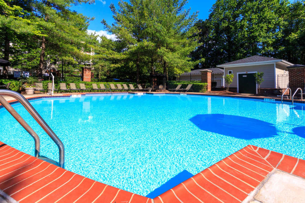 Outdoor swimming pool surrounded with trees and multiple lounge chairs at Beacon Place at Kentlands in Gaithersburg, Maryland  