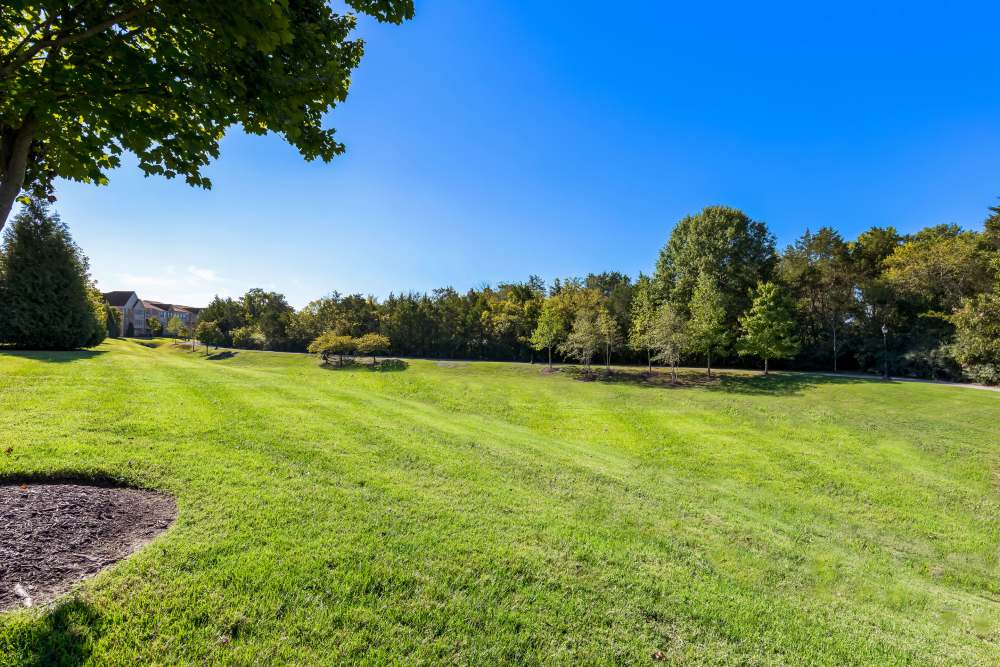 A Large Expanse Of Green Grass at Arbor Brook in Murfreesboro, Tennessee