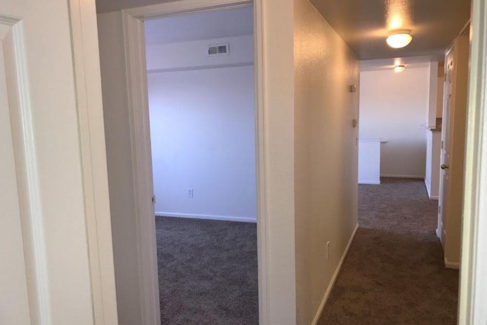 Carpeted apartment hallway at Columbine Apartments in Littleton, Colorado