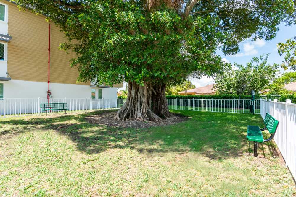 Fenced-in dog park at Sophia Square in Homestead, Florida