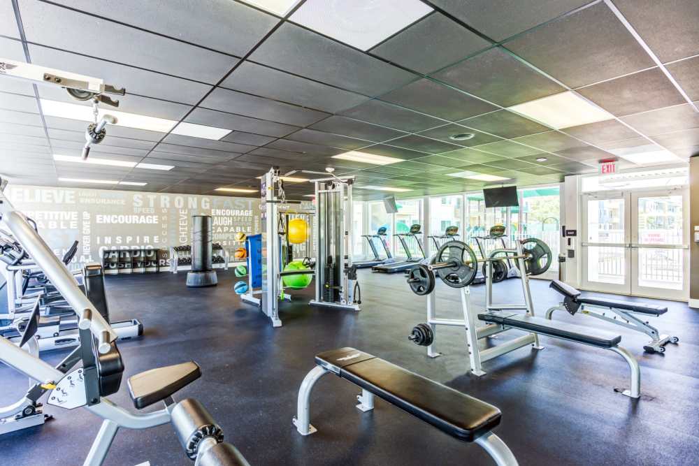 Fitness center with weight equipment at Sophia Square in Homestead, Florida