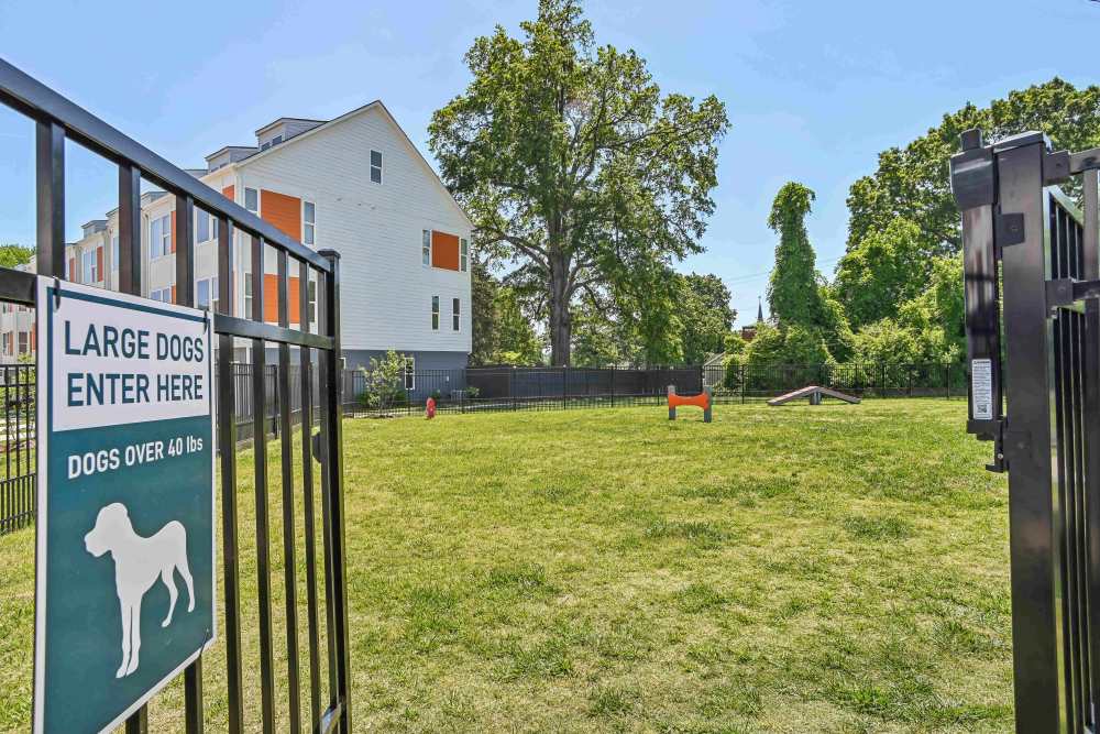 Dog park of community  at Crossings At NoDa in Charlotte, North Carolina 