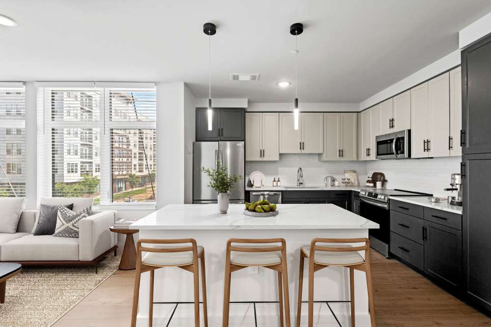 Gorgeous Apartments in Charlottesville VA