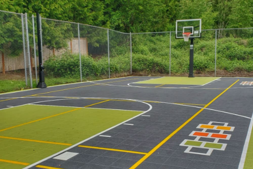 Outdoor Basketball Court at Autumn Chase in Bothell, Washington