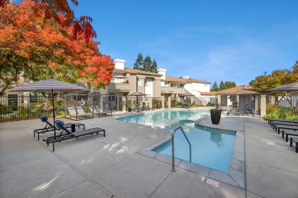 Beautiful pool at Terra at Portola Park in Livermore, California