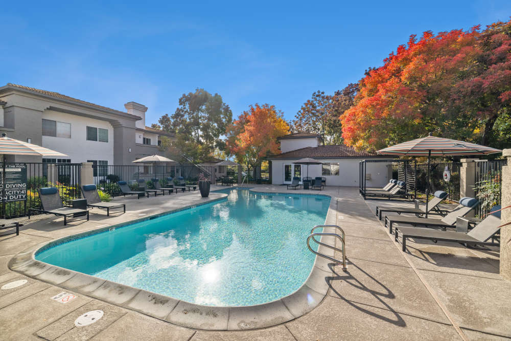Large sparkling swimming pool at Terra at Portola Park in Livermore, California