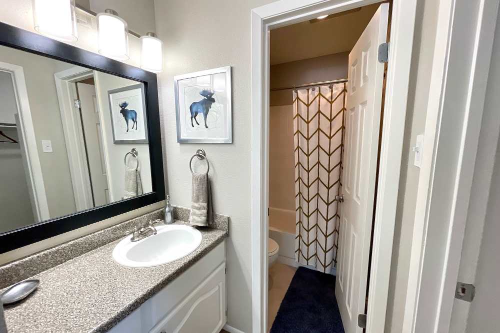 Bathroom with large vanity at The Abbey at Medical Center in San Antonio, Texas