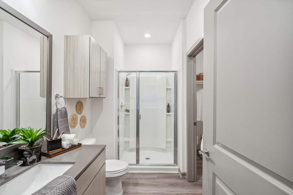 Luxurious bathroom in a model home at Taylor Farms in Charlotte, North Carolina