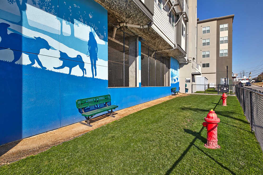outdoor dog park at Belclaire in Dallas, Texas