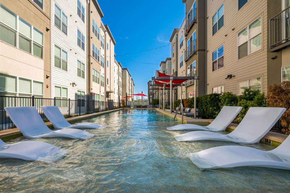 Pool at Belclaire in Dallas, Texas