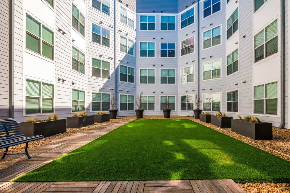 astroturf lawn at Belclaire in Dallas, Texas