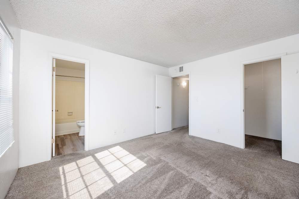 Warm hardwood flooring complemented by a plush area rug at the bedside