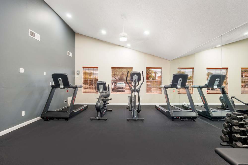 high-end gym equipment 