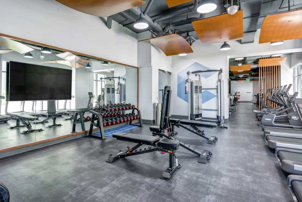 State-of-the-art fitness center at Solitair Brickell Apartments in Miami, Florida