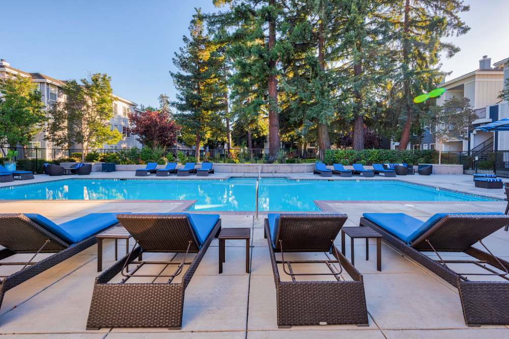 Pool at Renaissance Apartments in Sunnyvale, CA