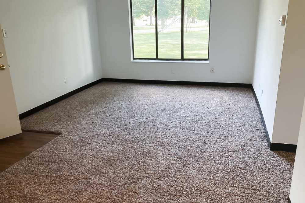 Spacious living room with plush carpeting at Oakview in Delta, Ohio