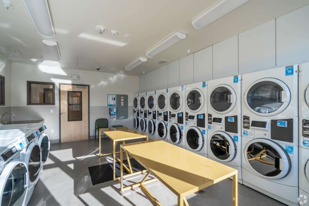 Washing and Laundry area in Bryant Manor in Seattle, Washington