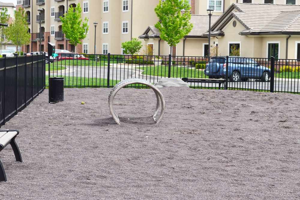 dog agility course at ((location_name}} in Kansas City, MO