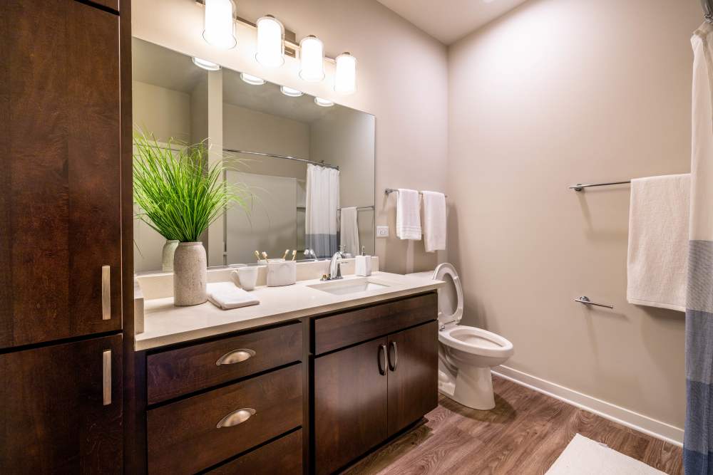 bathroom at The Bluffs in Romeoville, Illinois