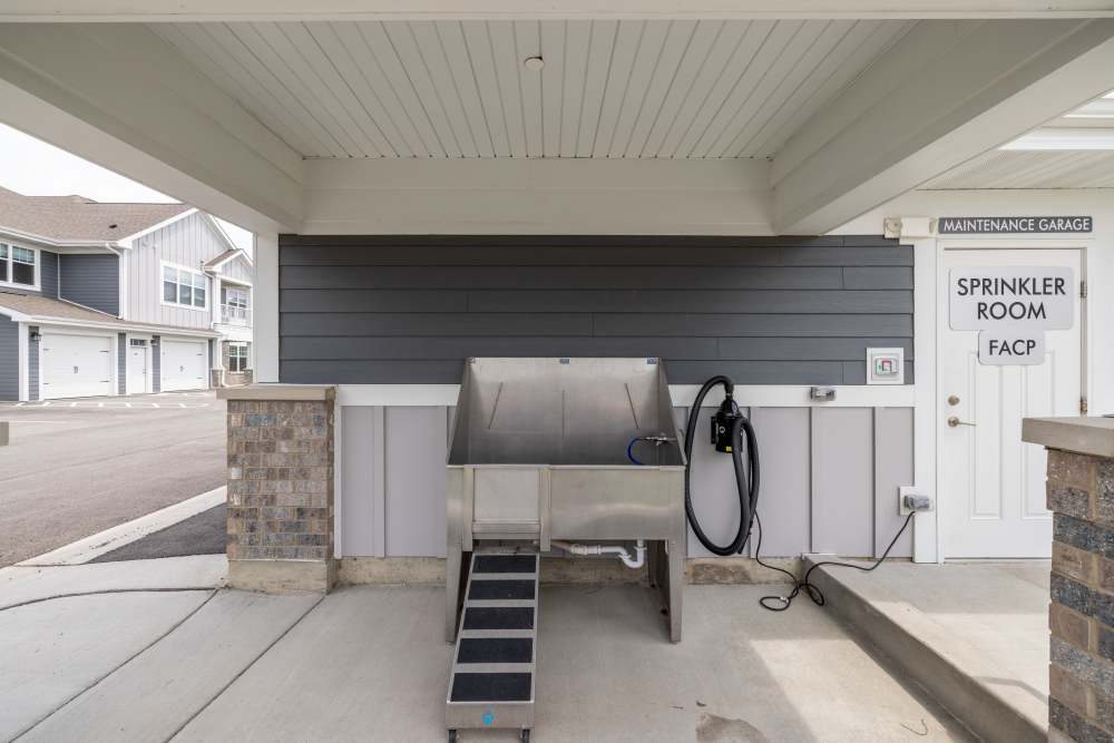 dog wash station at ((location_name}} in Romeoville, IL