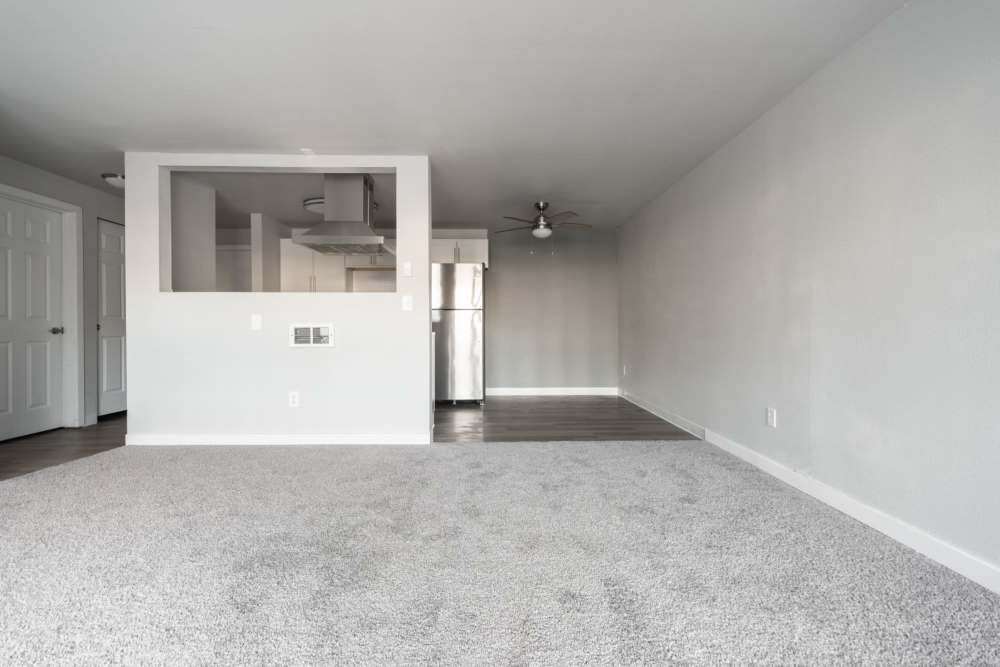 View of the kitchen from the living room at Lantera Apartments in Seattle, Washington