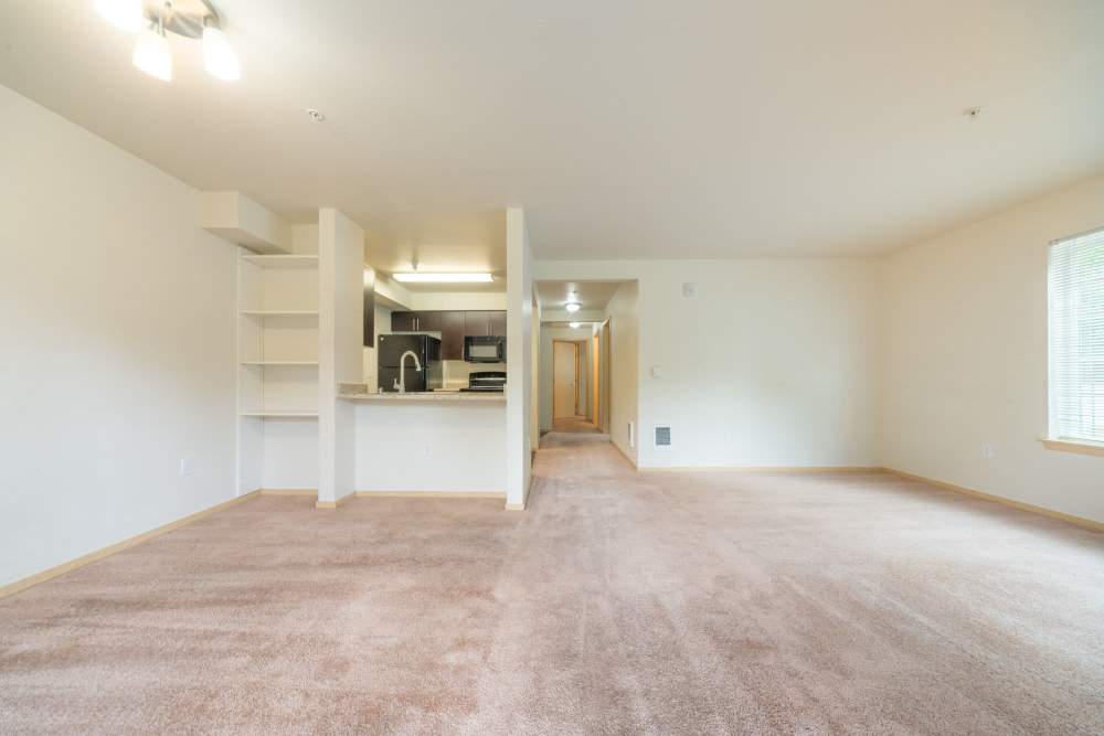 Apartment living room and kitchen in one frame at Taylor Creek Apartments in Seattle,Washington
