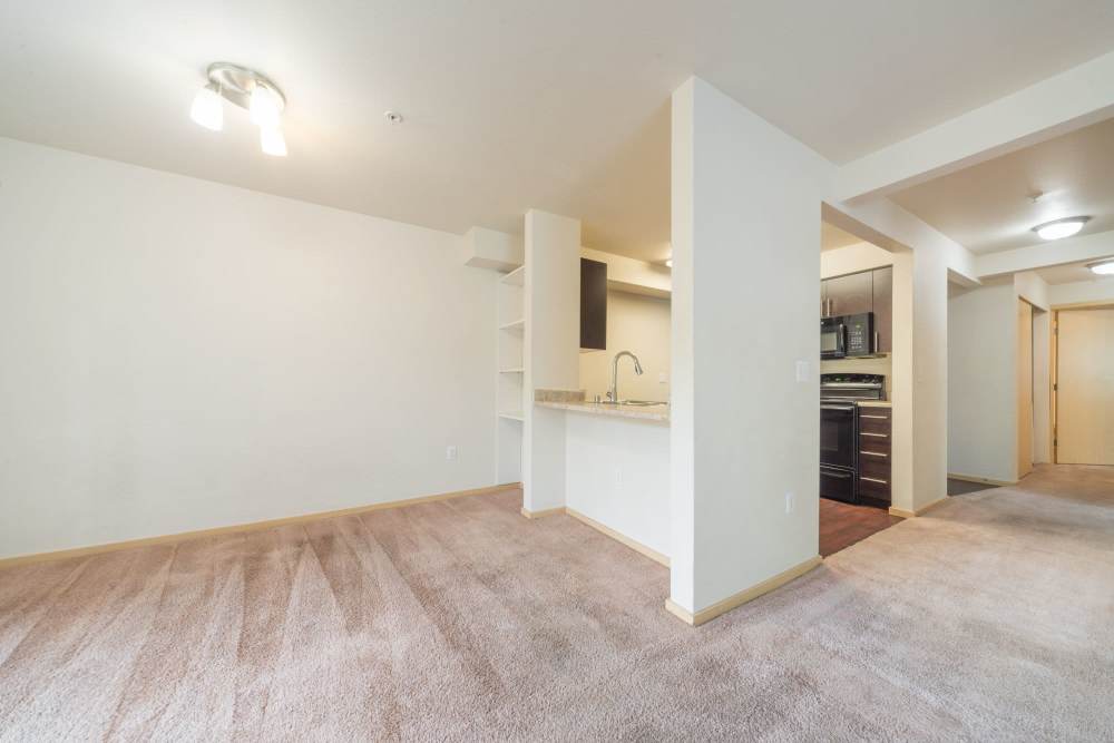 Living room with plush carpet flooring and ambient lighting at Taylor Creek Apartments in Seattle,Washington
