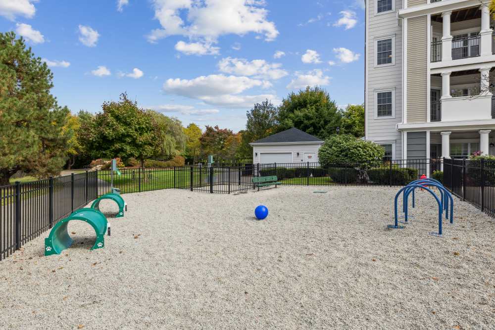 Dog Park at Sofi at Salem Station in Salem, Massachusetts