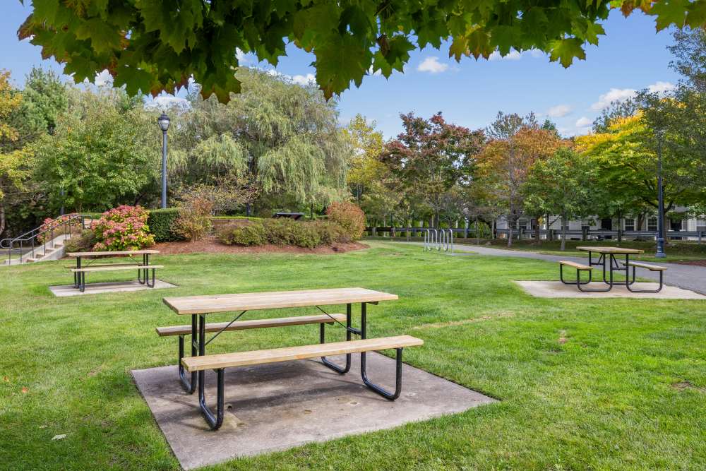 Benches in the Park at Sofi at Salem Station in Salem, Massachusetts
