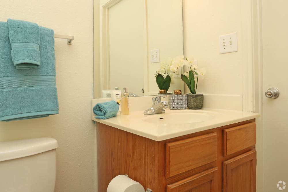 Bathroom with vanity and mirror at Woodforest Chase in Houston, Texas