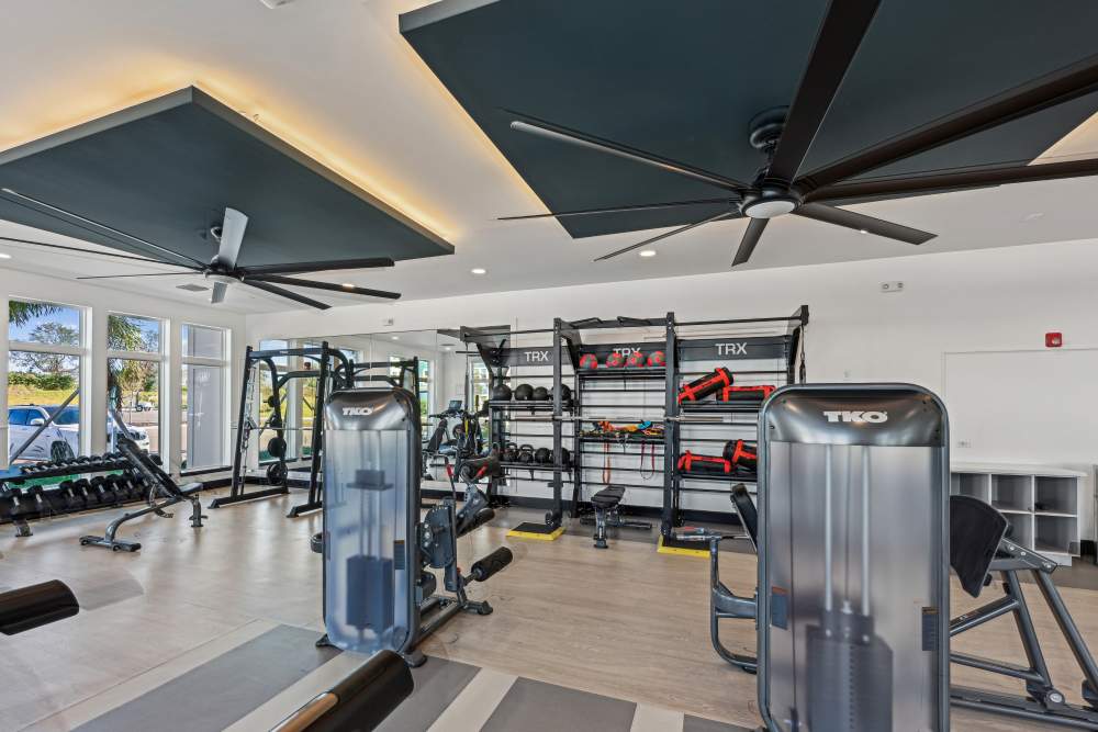luxury gym