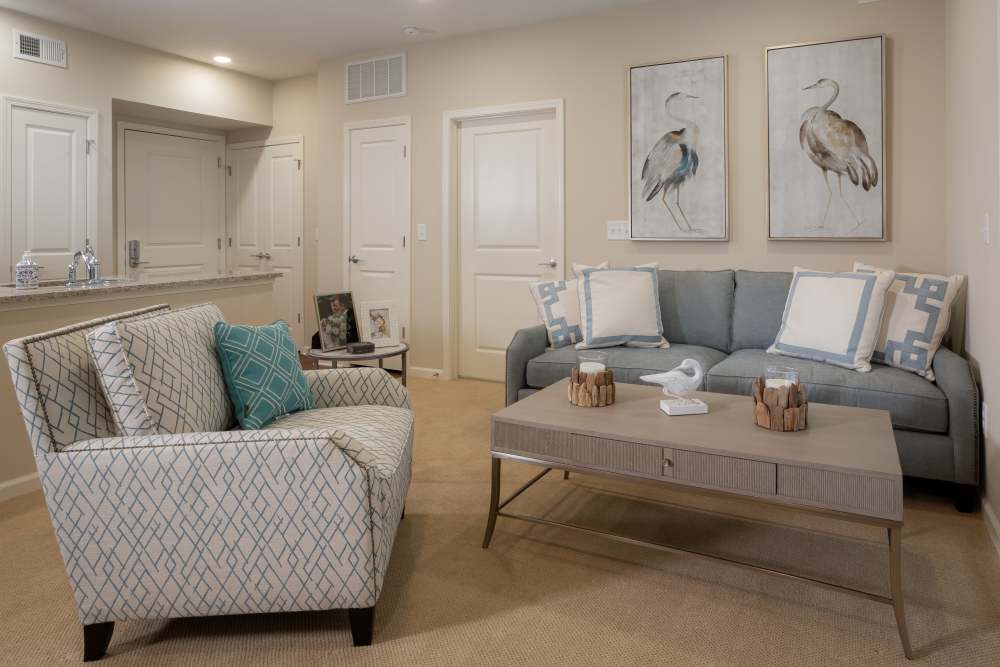 Cozy Apartments at Harmony at Eagles Landing in McDonough, Georgia