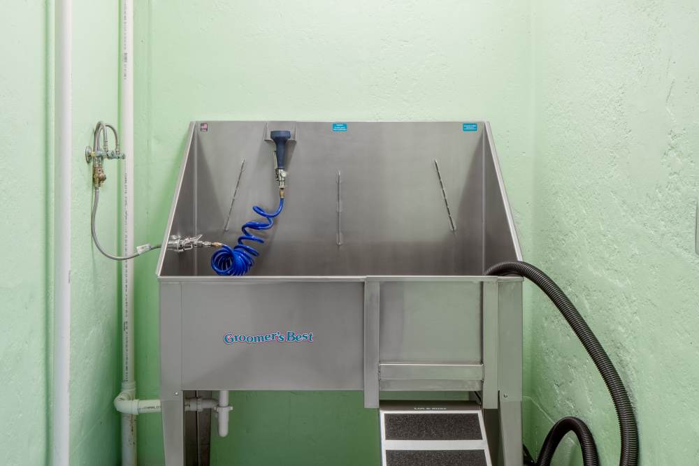Dog washing station at ((location_name}} in Brown Deer, WI